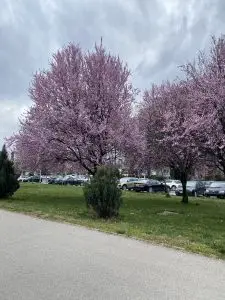 Облачно со сончеви периоди, од утре заладување