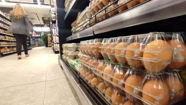 Пред Велигден под лупа: Агенцијата за храна со засилени контроли на јајца, месо и бои