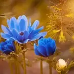 Месечен хороскоп за април и среќни датуми за секој хороскопски знак