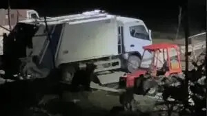 ВИДЕО | Мечка се прошета на паркинг во Ростуше и ги вознемири кучињата