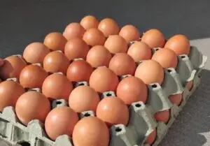 „Купувајте храна само од проверени места“: АХВ на терен, се проверува безбедноста на јајцата, боите и месото пред Велигден!