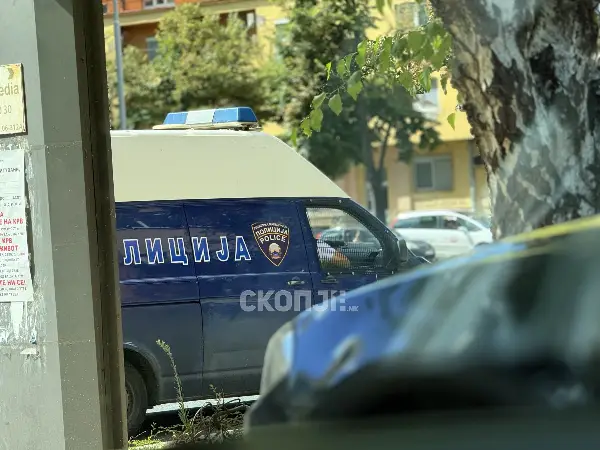 Уапсени двајца струмичани поради бегство од затвор, биле осудени за тешка кражба