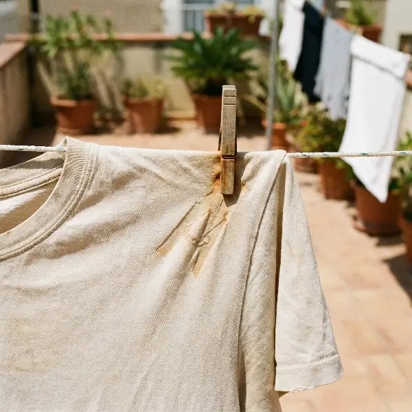 Грешки што ги прават луѓето кога сушат алишта надвор, а кои можат да ги оштетат