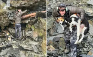 ВИДЕО | По една недела во дивината, пронајдено е кучето на планинарка која падна од 55-метарски водопад во Нов Зеланд