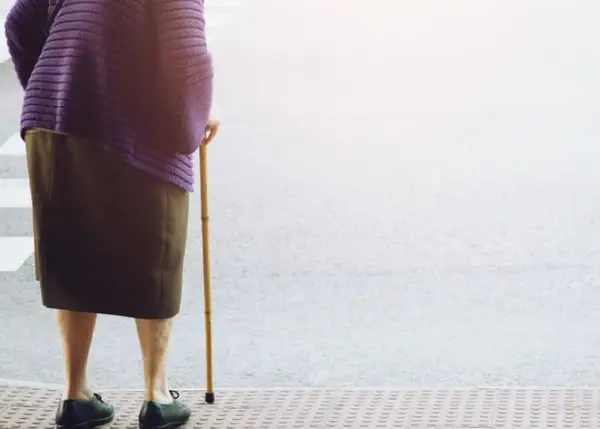 Пронашле бабичка мртва на пешачки премин и верувала дека настрадала во сообраќајка- следува бизарен пресврт 