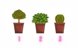 Тест на личноста: Која е вашата најсилна страна? Изберете растение и дознајте