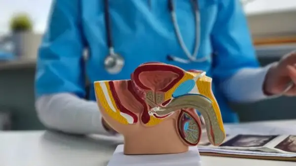 Откриена машката „Г-точка“ – Ако мислевте дека е во задникот, грешите