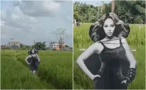 ВИДЕО | Бијонсе стана најпознатото страшило во светот – фармерите најдоа генијално решение за да ги заштитат нивите