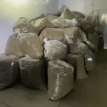 Запленети 65 килограми марихуана: Две лица приведени на автопатот „Пријателство“