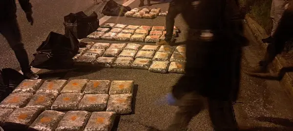 ВИДЕО: Пресечен транспорт на дрога во близина на Градско, две лица лишени од слобода