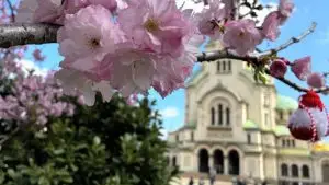 Цветници се.