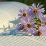 Неделен хороскоп: Што ви предвидуваат ѕвездите за наредните 7 дена