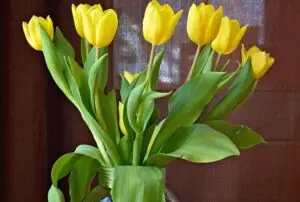 Тајната на свежите лалиња: Бесплатен трик што ќе ги направи да траат со недели во вазна