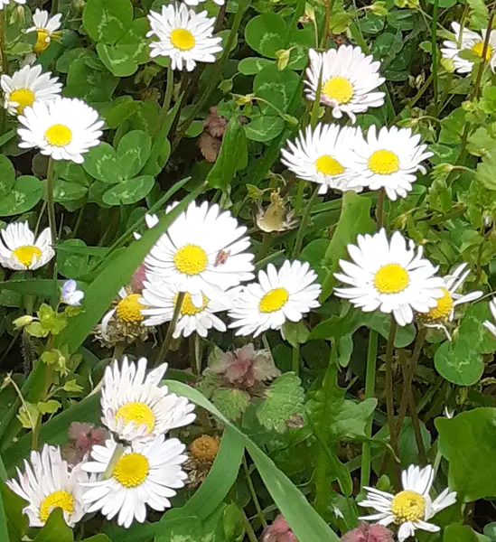 Денеска сончево и топло до 22 степена