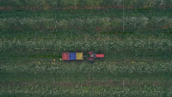 Трипуновски: 7 години Филипче и СДС имаа катастрофални политики за земјоделците кои резултираа со масовни протести, нека не глумат сега лажна загриженост