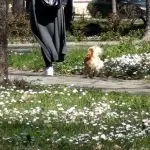 Опасност демне во градскиот парк во Битола