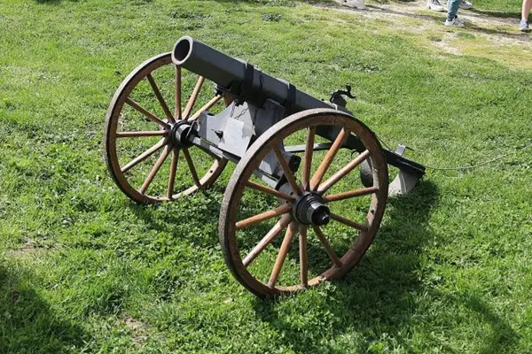 Трагедија во Загорје: Топ усмрти маж за време на традиционална манифестација