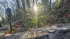 Сончево и топло до 26 степени