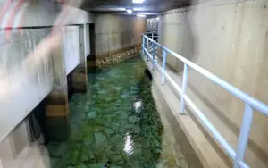 Состојбата со Рашче е стабилна, се испитуваат три позиции во Скопје, кои би биле алтернатива