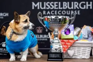 ФОТО | Одржана најслатката трка – корги на кое му беше ветено хот-дог победи на дерби во Шкотска