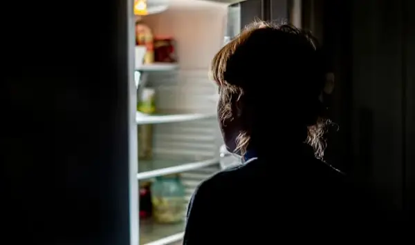 Поставила камера за да види кој краде од фрижидерот- се шокирала кога ги видела крадците (ВИДЕО)