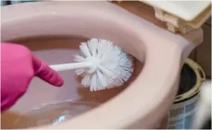 Четката за тоалетна школка крие бактерии – еве колку често треба да ја менувате