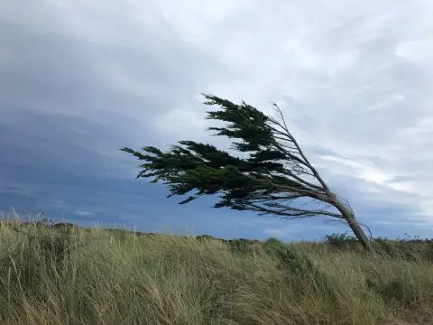 УХМР: Следува период на променливо облачно и стабилно време