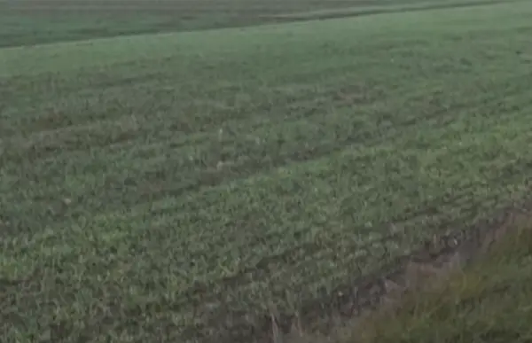 Земјоделци проверете си ги сметките – имате освежување