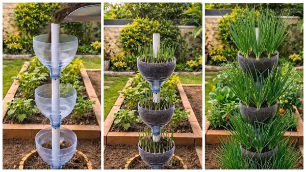 Ем декоративно, ем практично: Трик за садење млад кромид во пластични шишиња