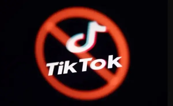 ТикТок затвори 34 лажни профили поврзани со изборни манипулации во Бугарија