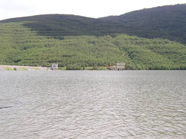 Времена забрана за лов на сом во акумулацијата „Стрежево“