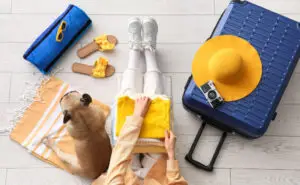 Патувањето не е добро само за душата – тоа може да нè направи и поздрави и попродуктивни