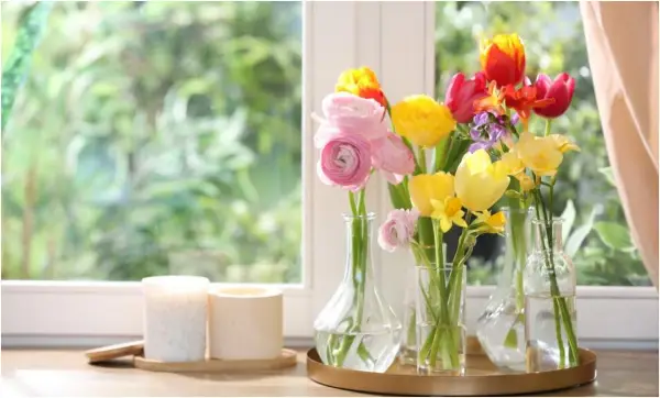 Еден цвет е симбол на Велигден и носи среќа со парите: Бојата зрачи оптимизам, но не смее да биде скриен и сам