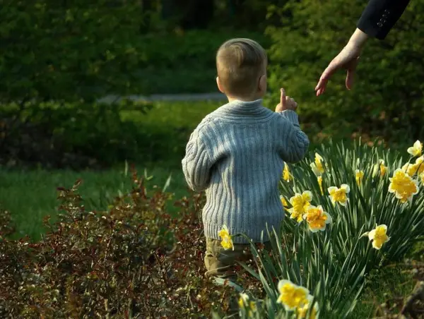 Дали знаете кој цвет е симбол на Велигден?