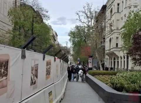 Избори во Унгарија: Излезноста урива рекорди – ја достигна конечната излезност во претходните изборни циклуси