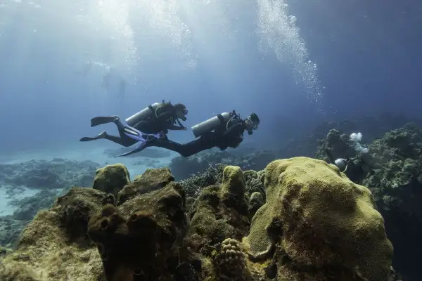 Тинејџер нурна во морето и наиде на древен монструм - погледнете што открил