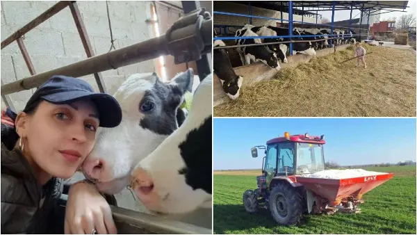 Сите бегаат во град, но Тамара го направи спротивното: Се омажи на село и започна бизнис, обработува 200 хектари и произведува 800 литри млеко дневно