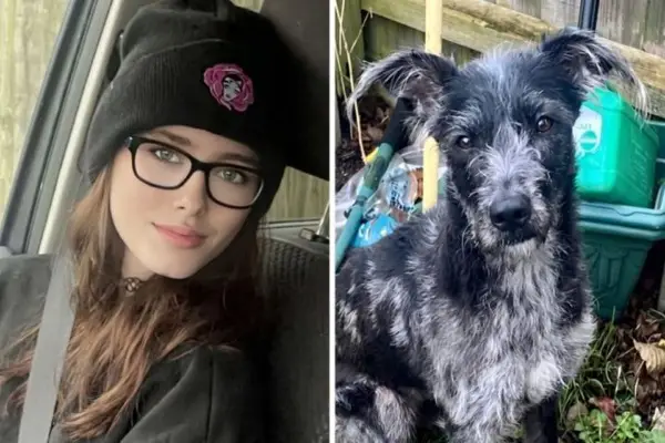 Таткота на девојката (19) убиена од куче: Спиеја заедно во кревет, не беше агресивно