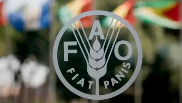 ОН: Кризата во Ормуската Теснина може да предизвика глобална катастрофа во земјоделството