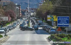Семејното насилство и бездомните кучиња на дневен ред пред Локалниот совет за превенција на Гостивар