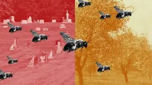 Под гробишта во Итака живеат 5,5 милиони пчели, формирале огромен подземен „град“