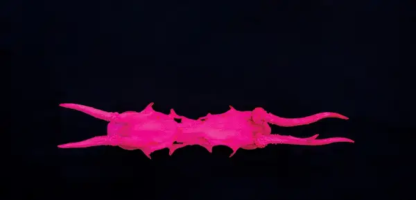 Изложбата „Архивски документи“ на Жанета Вангели по Загреб, продолжува во Белград