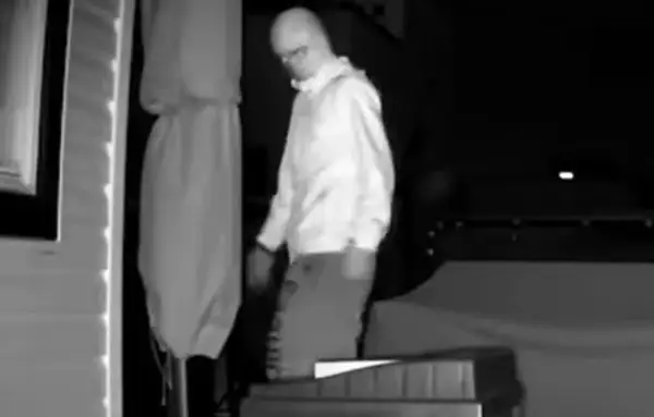 Поставила камера во дворот поради ракуни- се преплашила кога видела што се појавило (ВИДЕО)