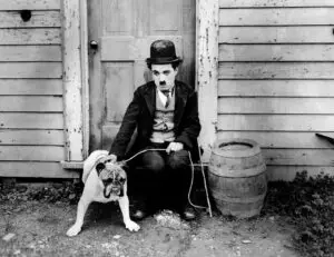 Дали Чарли Чаплин еднаш учествувал и изгубил на натпревар за свои двојници?