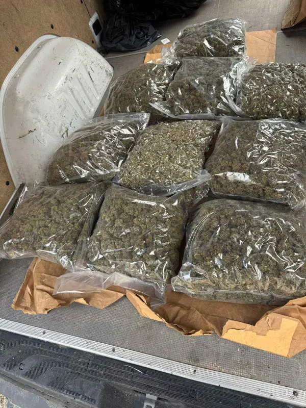 Запленета дрога во локал во Тетово, уапсено 16-годишно лице