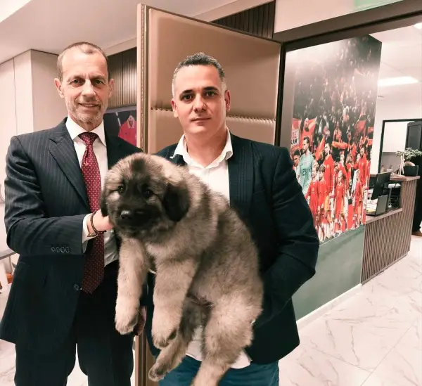 Чеферин од Скопје си заминa со нов член на семејството – шарпланинецот Македон!