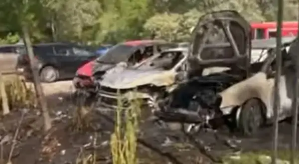 Брзата реакција на професионален војник спречи ширење на пожарот на скопското Кале