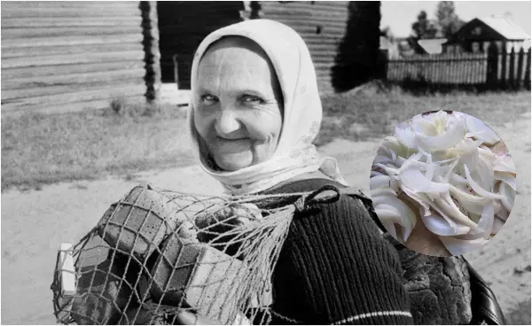 Зошто баба го триела огледалото со кромид, а со ацетон ја чистела пеглата: 22 трикови од СССР за домаќинките