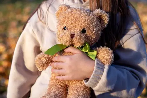 Еве како мечето Теди стана омилена играчка за многу деца