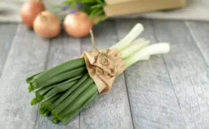 Младиот кромид како природен сојузник на здравјето – го намалува притисокот и го јакне организмот